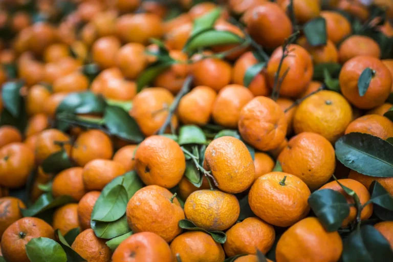 Clémentines Afourer