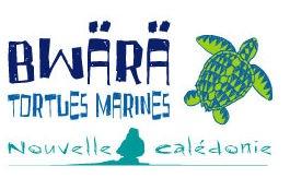 Association tortues marines