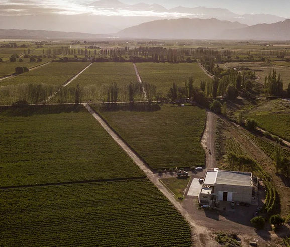 Bodega Piccolo Banfi en Luján de Cuyo,