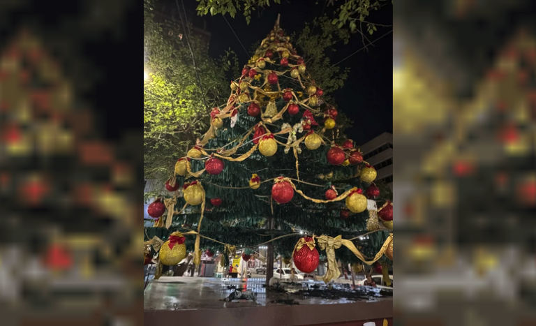 “El Grinch” mendocino: un detenido por intentar incendiar un árbol de navidad.