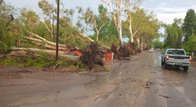 El SMN y la NOAA alertan que El Niño podría convertirse en uno de los más intensos de las últimas décadas en Argentina, con mayor riesgo de lluvias extremas, tormentas e inundaciones.