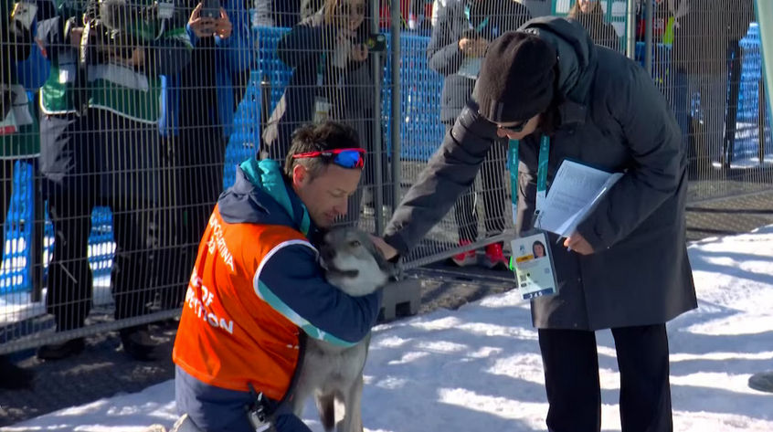 Un insólito episodio marcó la jornada del esquí de fondo en los Juegos Olímpicos de Invierno: un perro lobo irrumpió en plena competencia y se cruzó con la esquiadora argentina Nahiara Díaz González, en una escena que se volvió viral.