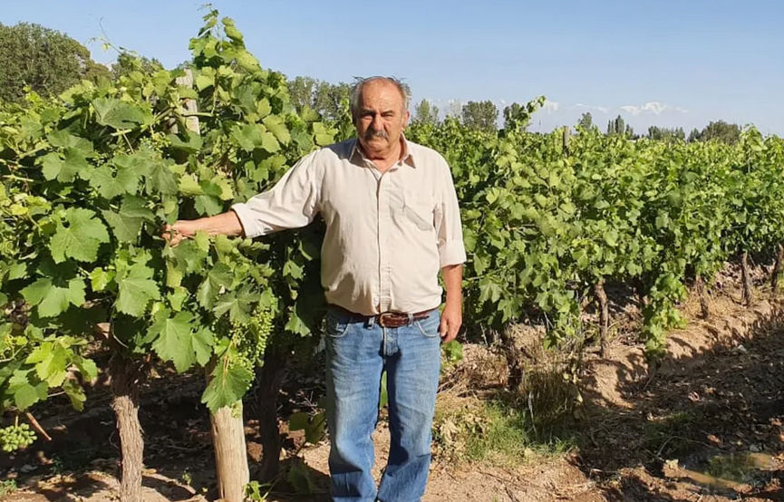 La vicepresidenta de la Nación llegará este sábado al Valle de Uco para recorrer producciones agrícolas y mantener un encuentro con productores en la sede de la Sociedad Rural del Valle de Uco, donde será recibida por su presidente, Mario Leiva.