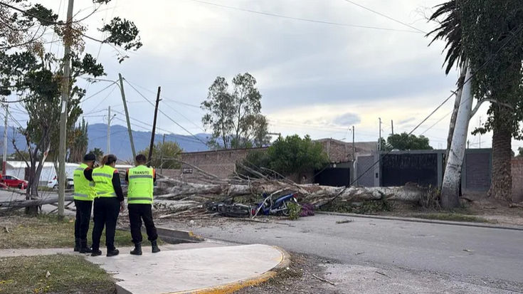 El fuerte Zonda en Mendoza dejó una víctima fatal en Las Heras y obligó a suspender actividades escolares en distintos puntos de Mendoza. Un motociclista murió tras la caída de un árbol y otro hombre lucha por su vida.
