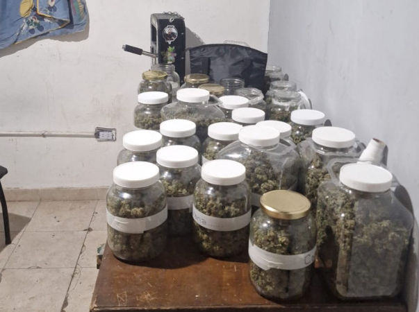 La Gendarmería Nacional Argentina encontró una sofisticada estructura preparada para producir marihuana en Mendoza a gran escala con tecnología de avanzada, con más de 67 plantas, dinero en distintas monedas y municiones.