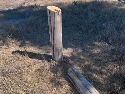 San Rafael registró dos robos y hechos de vandalismo contra el alumbrado público. Cortaron un poste con motosierra y robaron 200 metros de cable.