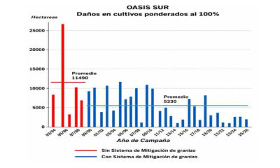 Las hectáreas afectadas por granizo bajaron de 11.490 a menos de 2.500 en el Oasis Sur, según datos presentados por Omar Félix.