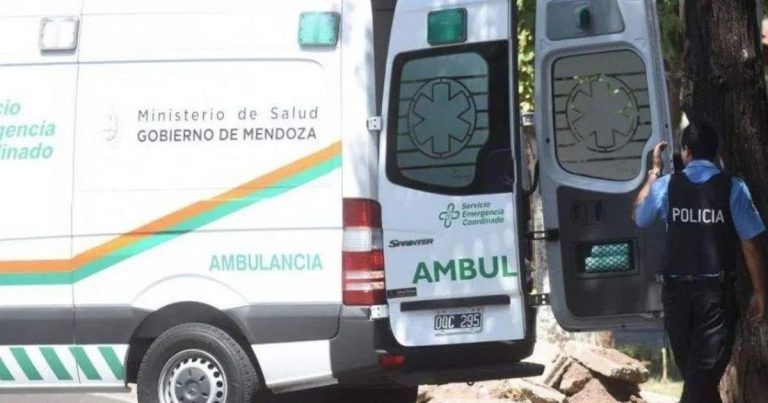 El Servicio Coordinado de Emergencias se hizo presente en el lugar.