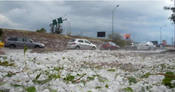 Una cosecha de uvas marcada por las contingencias climáticas