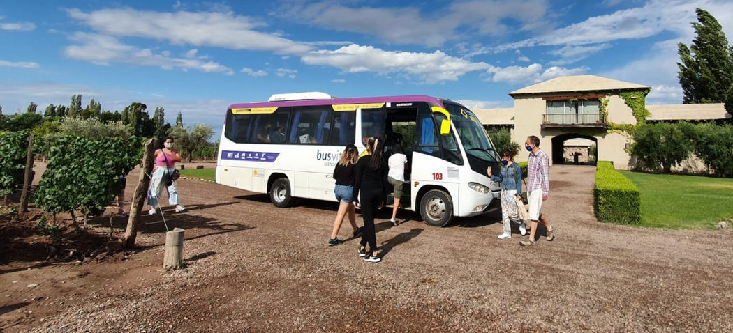 Turistas eligen tomar vino y pasear en bus con chofer asignado