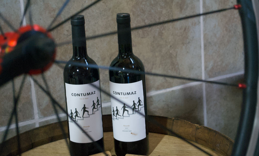 Contumaz, el nuevo rebelde del vino y su emblema: Bonarda