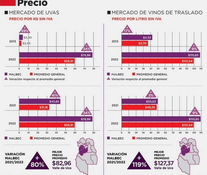 Día del Malbec, la cepa insignia de los vinos de Argentina