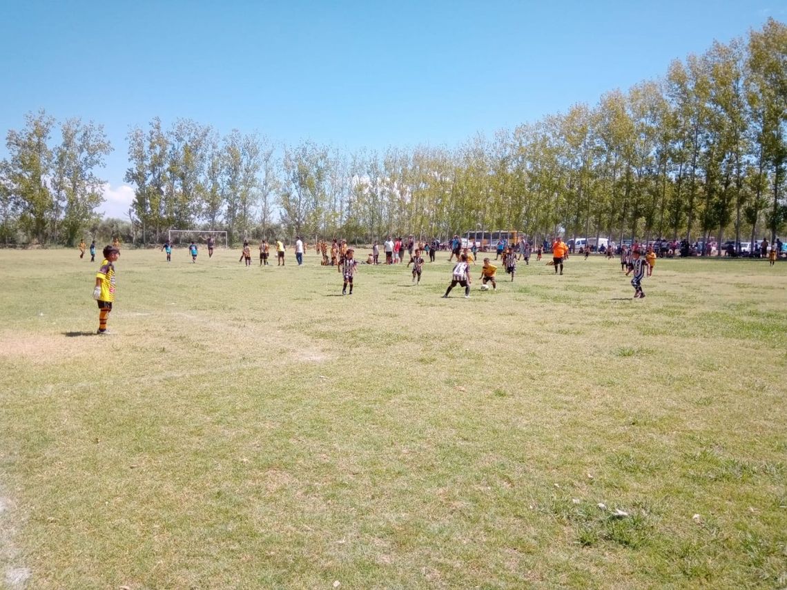 Calurosa tarde de campeones del fútbol infantil en Palmira