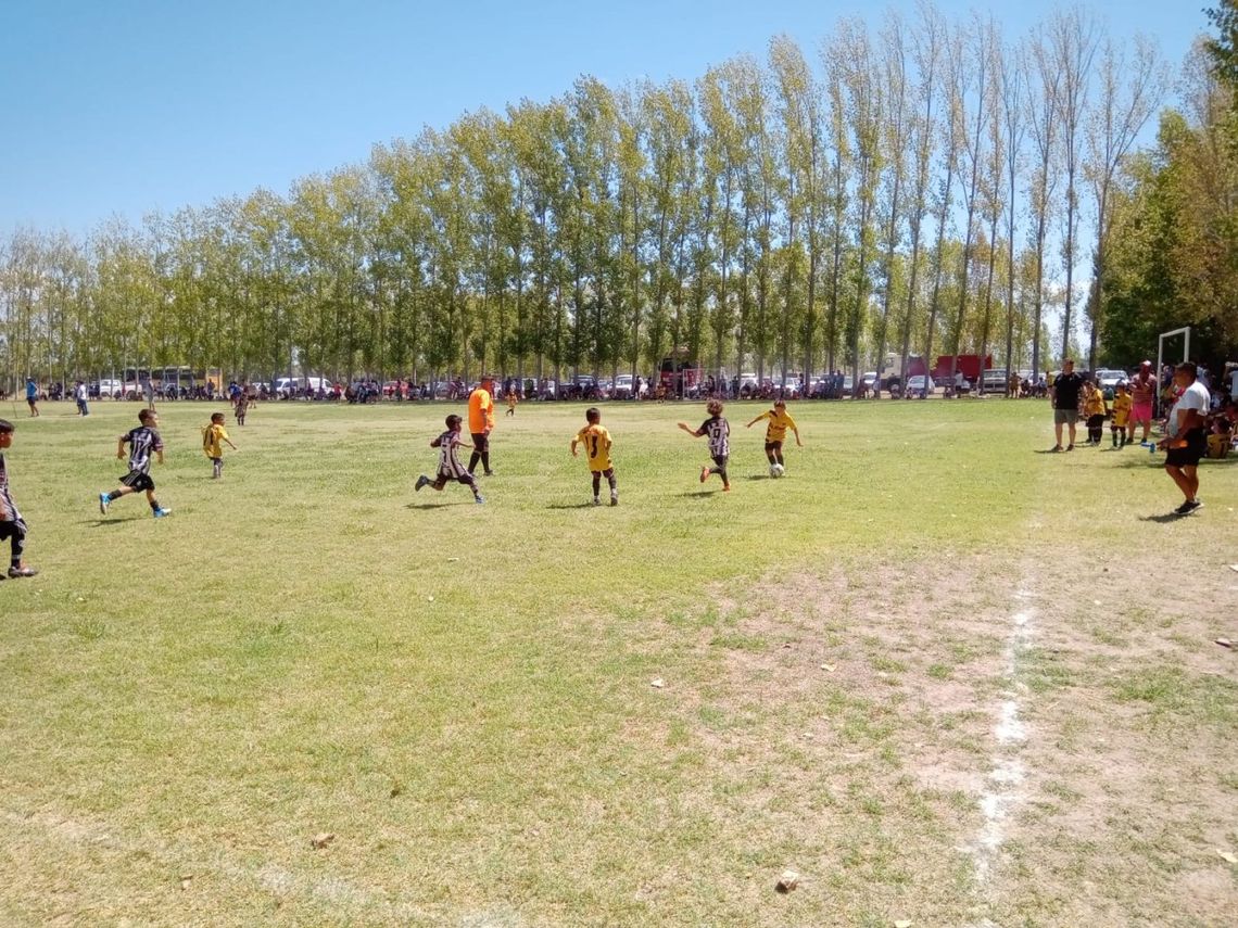 Calurosa tarde de campeones del fútbol infantil en Palmira