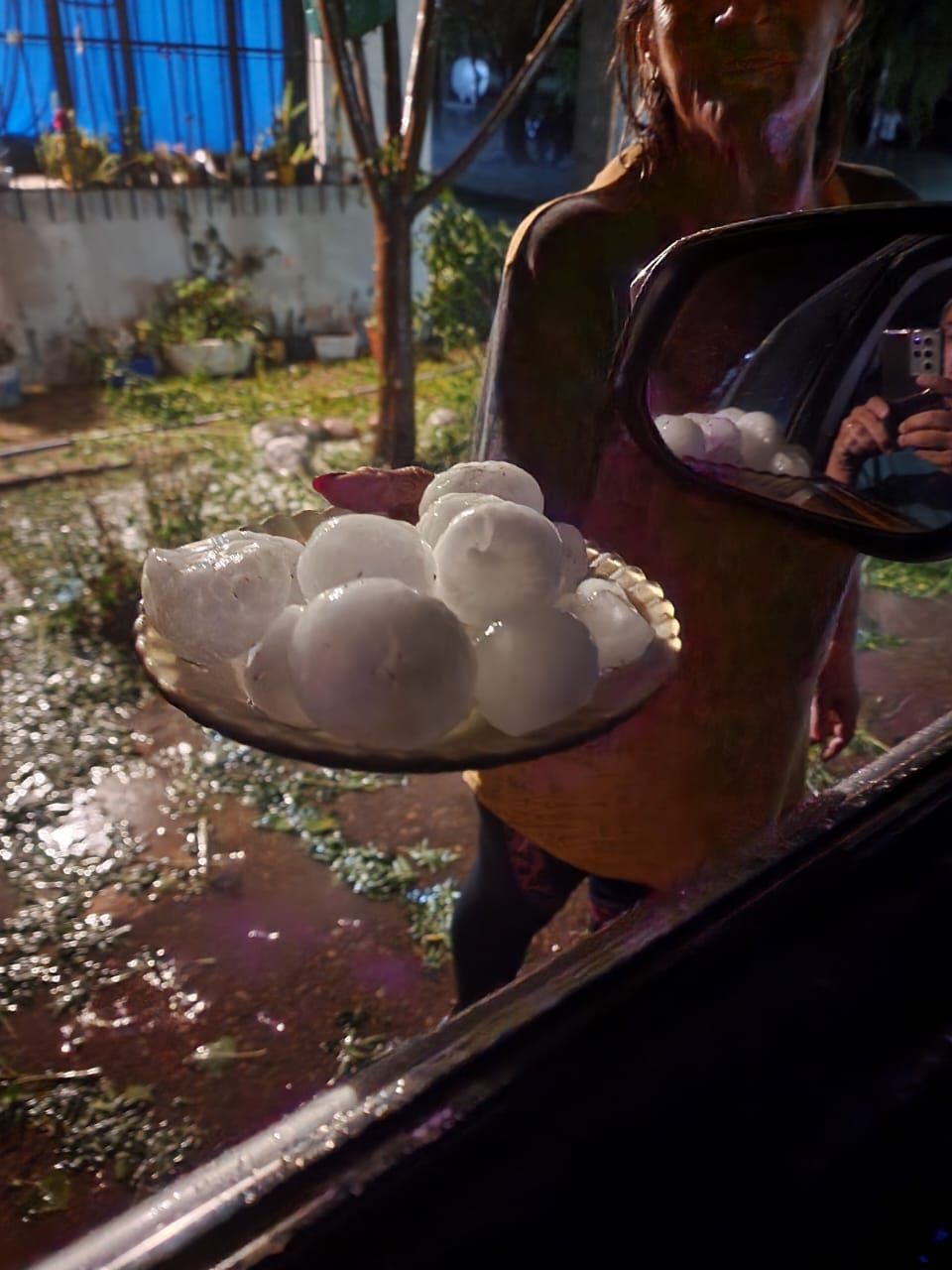 Así terminan la semana los productores del Este castigados por la piedra