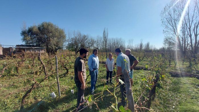 La tormenta afectó casas, autos, producción y resurgieron las quejas