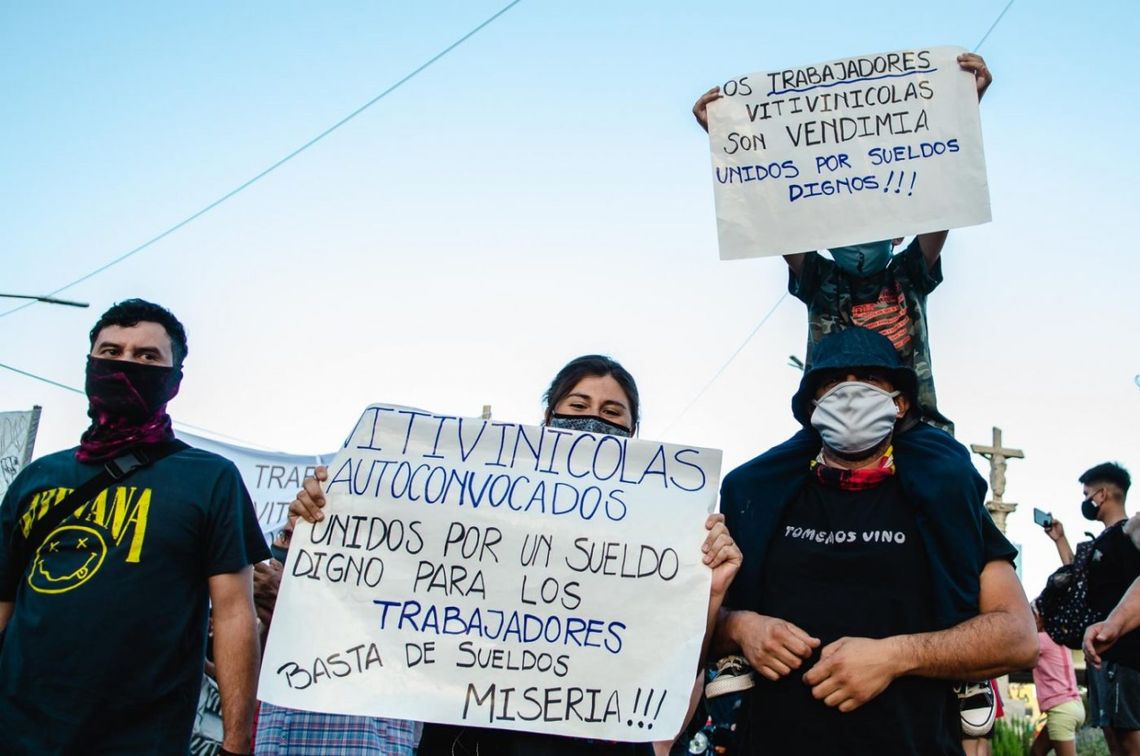 Productores vitivinícolas protestarán por el precio de la uva