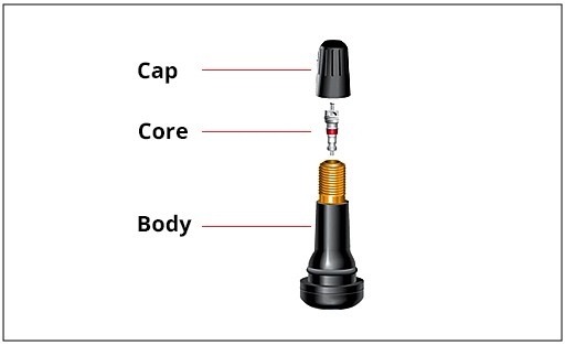 Tire Valve Stems and Their Components Explained (All Types