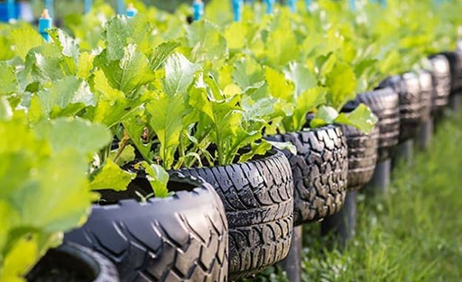 Recycled tyres used as pots