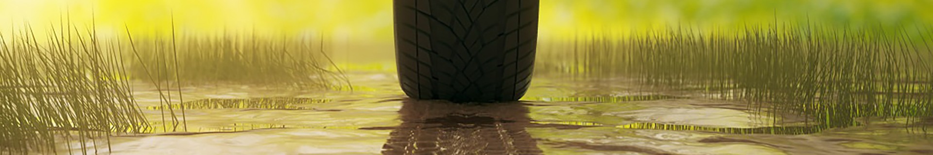 Green Tyres: Driving the Industry Forward