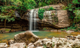 Buderim