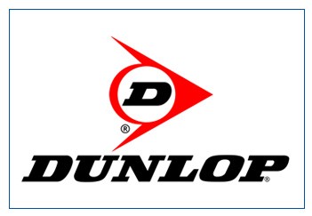 Bridgestone vs Dunlop tyres