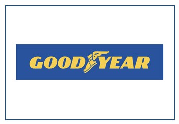 Bridgestone vs. Goodyear tyres