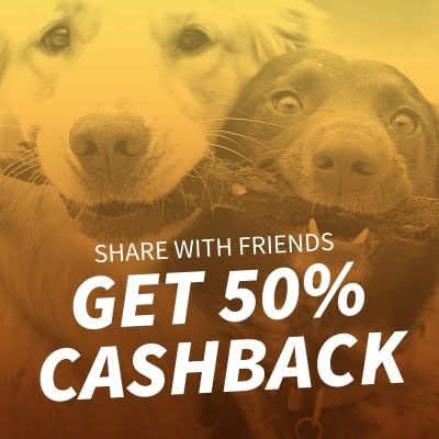 Buy 4 Pay For 3 Deal