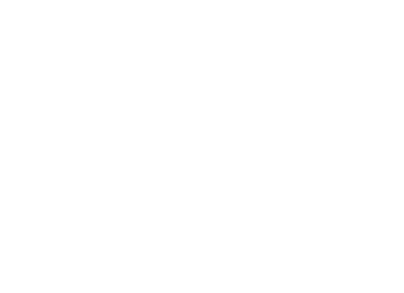 Escudo do Criciúma Esporte Clube