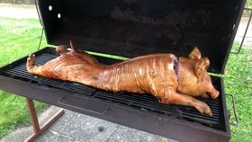 Billede 3 af Grillsvinenes saftige, helstegte pattegris med det hele