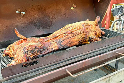 Billede 2 af Lethʼs helstegt pattegris med klassisk tilbehør