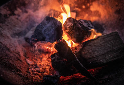 Billede 3 af 10 af Amerikansk BBQ: Smoked ribs på hickorytræ fra Ozark-bjergene