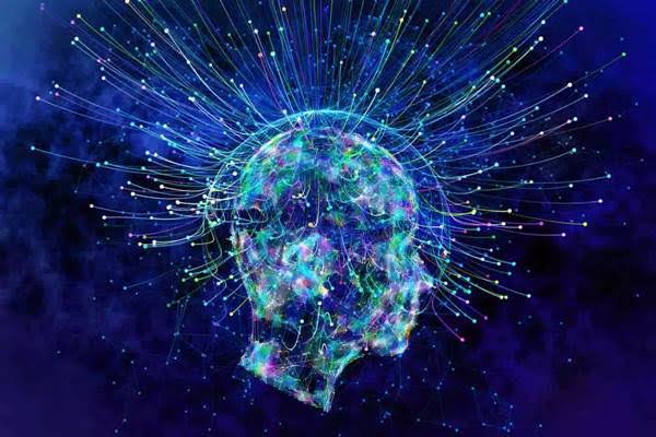 Neurosains
