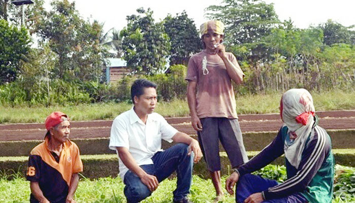 STN dukung penuh budidaya jagung secara masal di Nunukan.