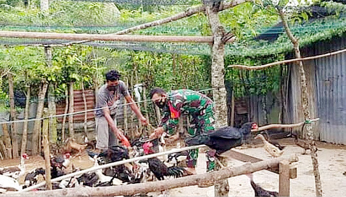 Babinsa lakukan pendampingan peternak ayam.