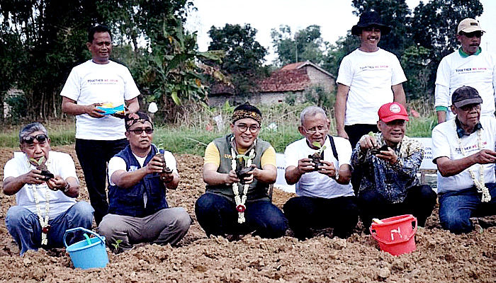 Merakyat, Bupati Baddrut tanam tembakau bersama rakyat, dorong kemajuan ekonomi dari sektor pertanian.