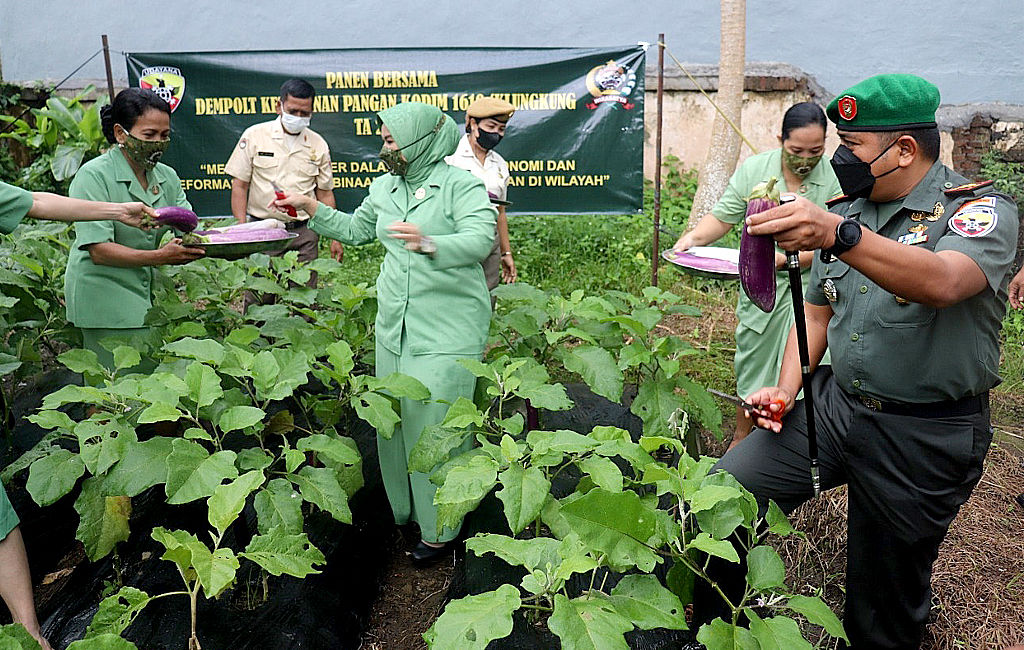 Kodim Klungkung panen demplot dan tanam tiga ribu pohon
