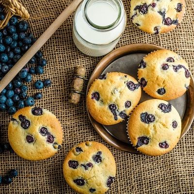 Blueberry Protein Muffin