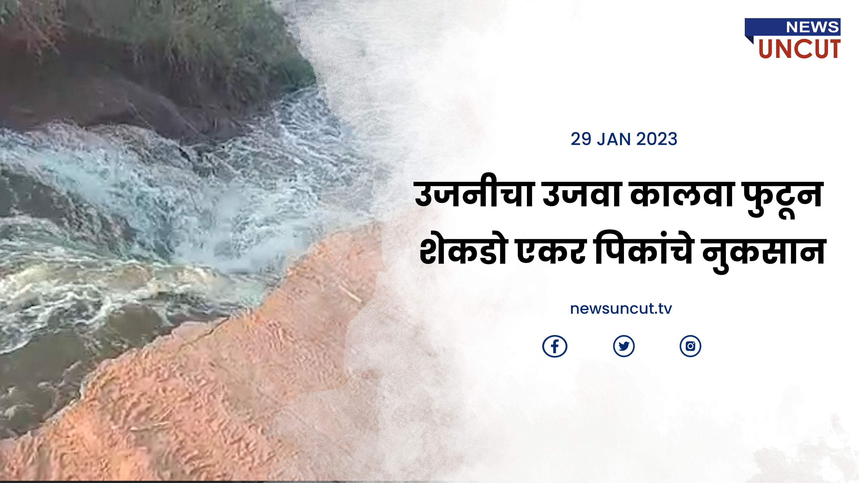 उजनीचा उजवा कालवा फुटून शेकडो एकर पिकांचे मोठे नुकसान