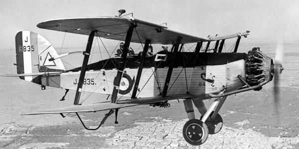 Wapiti-1