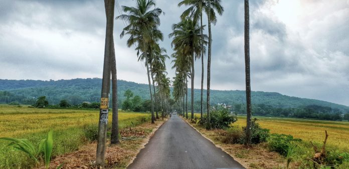 goa-outdoorchallenge-trees-2402939