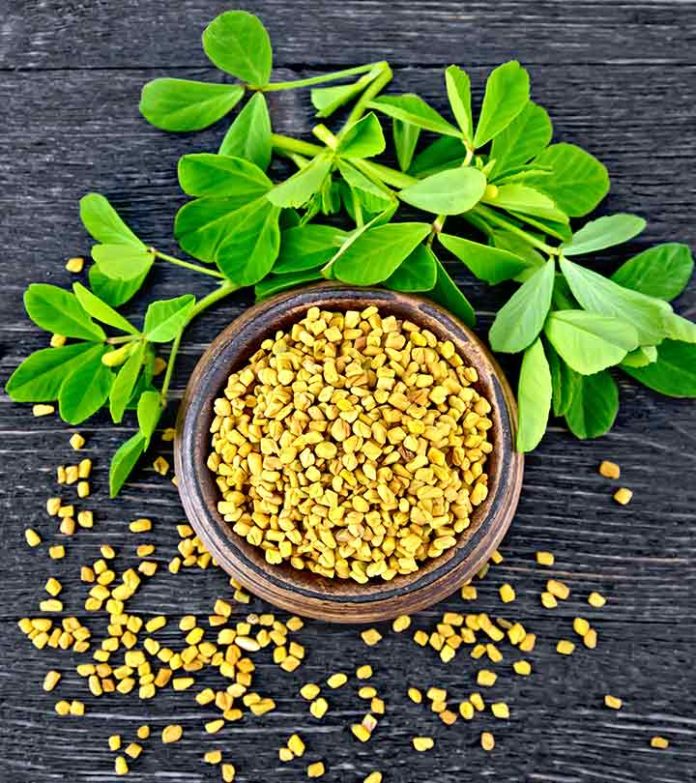 15-Wonderful-Benefits-Of-Fenugreek-You-Must-Know-Today-