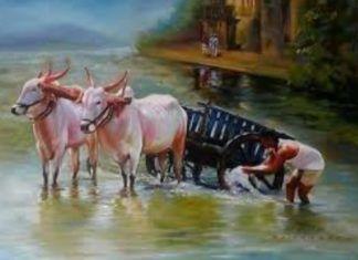 राष्ट्रीय शेतकरी दिन विशेष