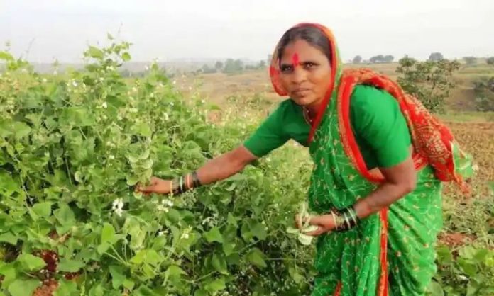 WhatsApp Image 2020-01-27 at 10.51.21 AM