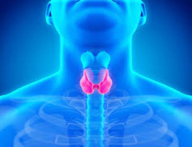 resize-1579589999637897631download13