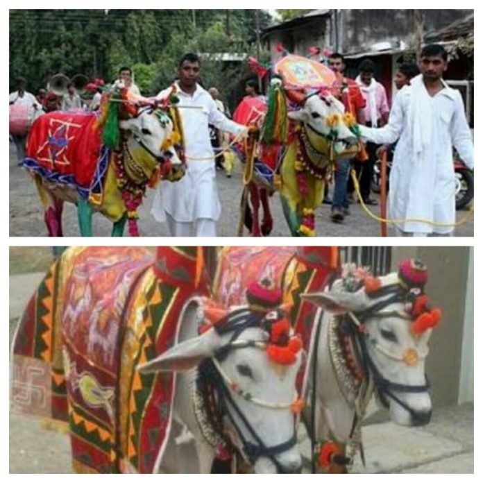 WhatsApp Image 2020-08-15 at 2.27.41 PM