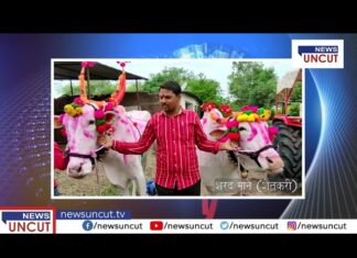 बळीराजाच्या बैलांचा सण