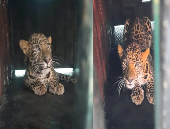 WhatsApp Image 2023-01-17 at 11.54.04 AM