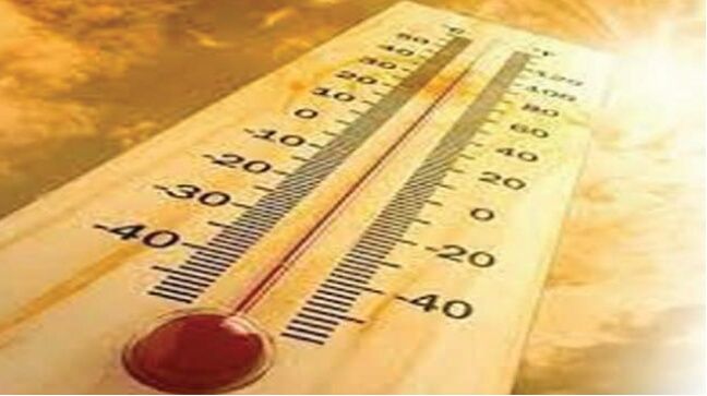 WhatsApp Image 2023-02-10 at 12.28.17 PM