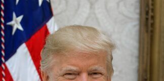 Bricks Donald Trump America